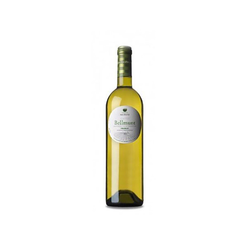 VINO BLANCO MAS D'EN GIL BELLMUNT VI DE VILA 2015 